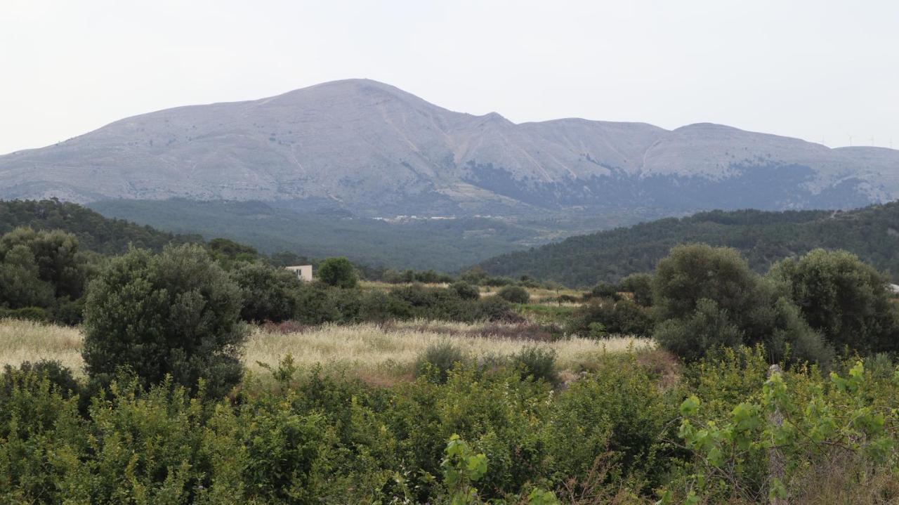Echo Traditional House - Ηχώ Παραδοσιακό Σπίτι Émbonas Eksteriør billede