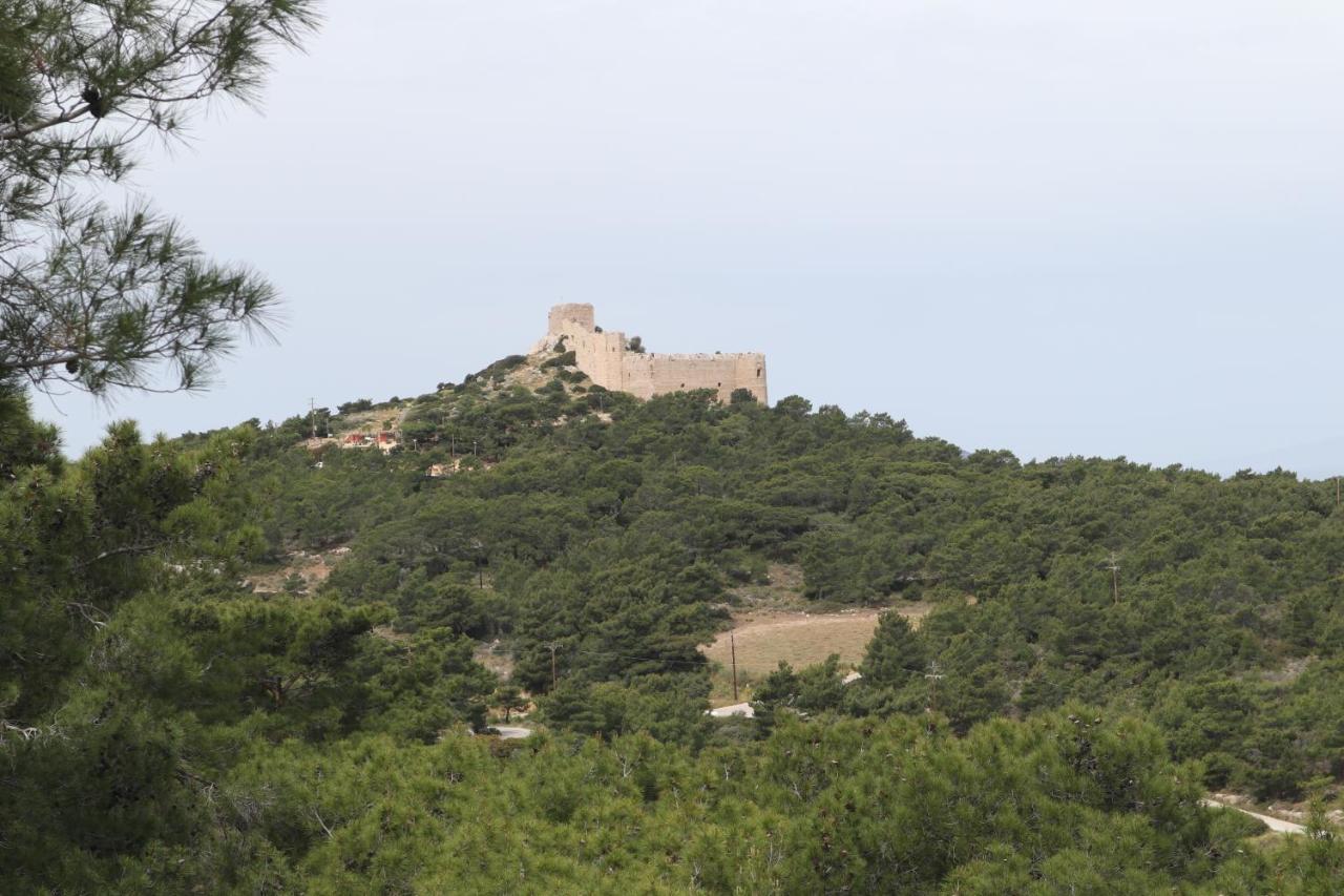 Echo Traditional House - Ηχώ Παραδοσιακό Σπίτι Émbonas Eksteriør billede